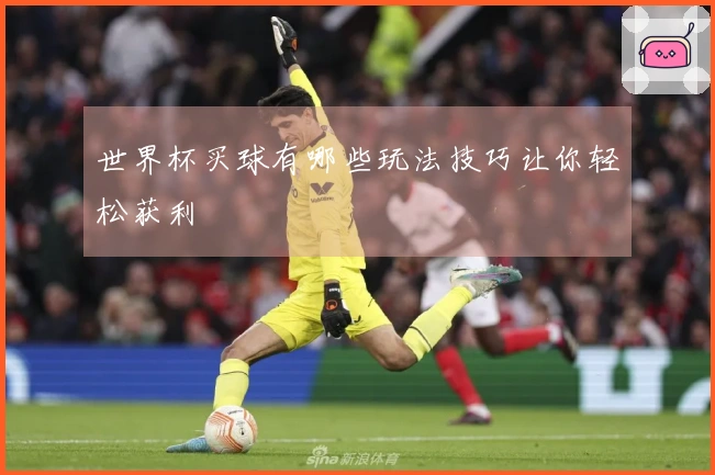 世界杯买球有哪些玩法技巧让你轻松获利