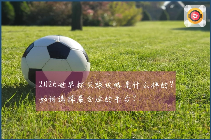 2026世界杯买球攻略是什么样的？如何选择最合适的平台？
