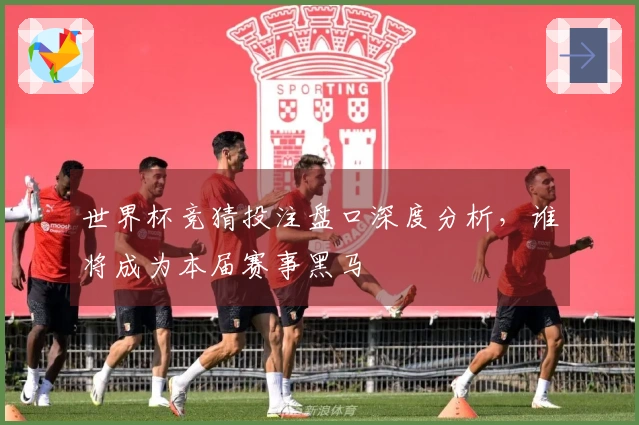 世界杯竞猜投注盘口深度分析，谁将成为本届赛事黑马