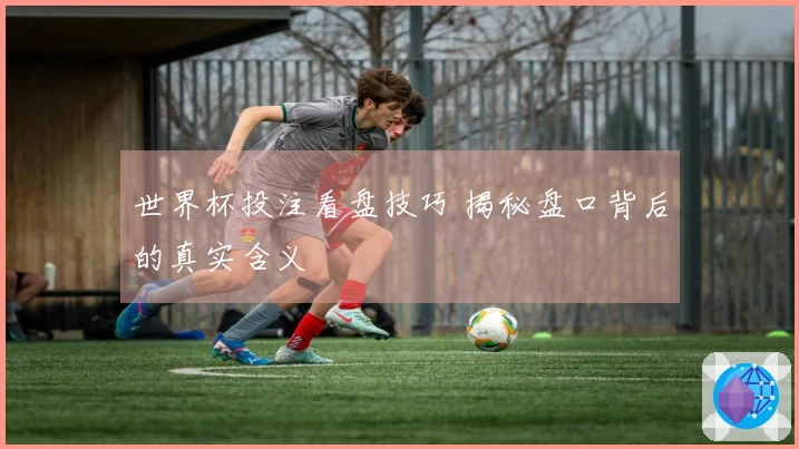 世界杯投注看盘技巧 揭秘盘口背后的真实含义