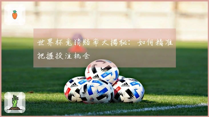 世界杯竞猜赔率大揭秘：如何精准把握投注机会