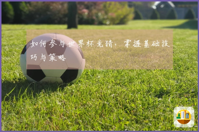 如何参与世界杯竞猜，掌握基础技巧与策略