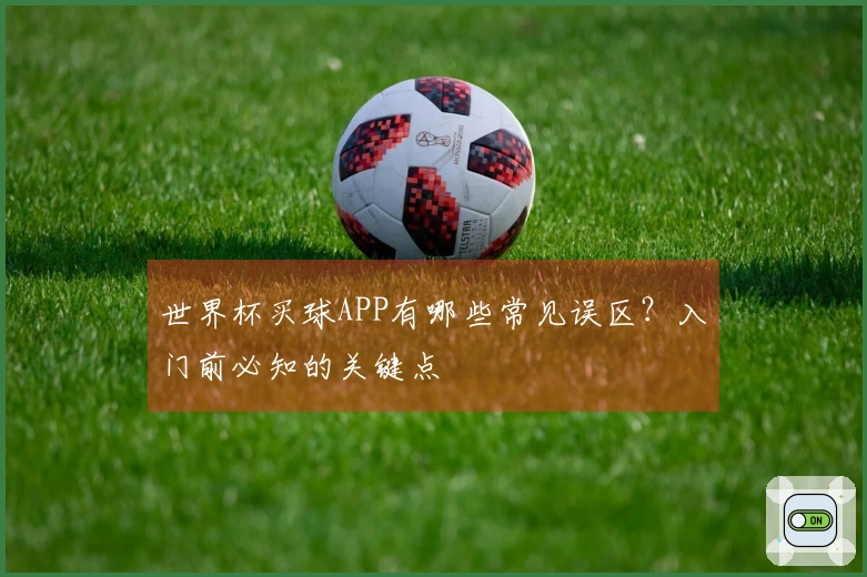 世界杯买球APP有哪些常见误区？入门前必知的关键点