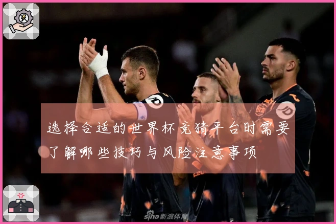 选择合适的世界杯竞猜平台时需要了解哪些技巧与风险注意事项