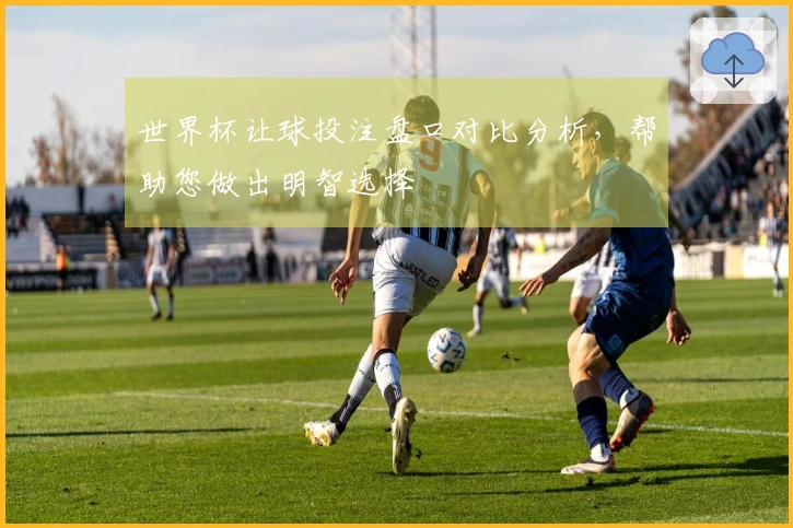 世界杯让球投注盘口对比分析,帮助您做出明智选择