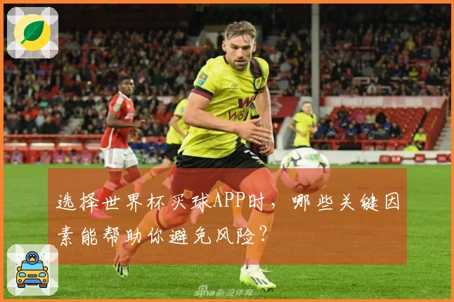 选择世界杯买球APP时，哪些关键因素能帮助你避免风险？