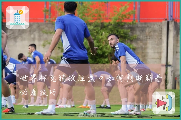 世界杯竞猜投注盘口如何判断新手必看技巧