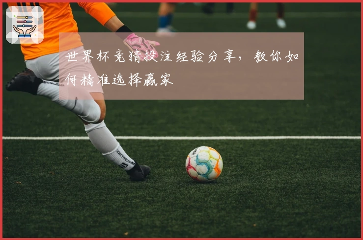 世界杯竞猜投注经验分享，教你如何精准选择赢家