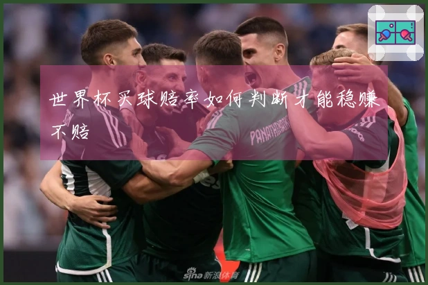 世界杯买球赔率如何判断才能稳赚不赔