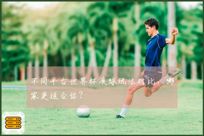 不同平台世界杯滚球玩法对比，哪家更适合你？