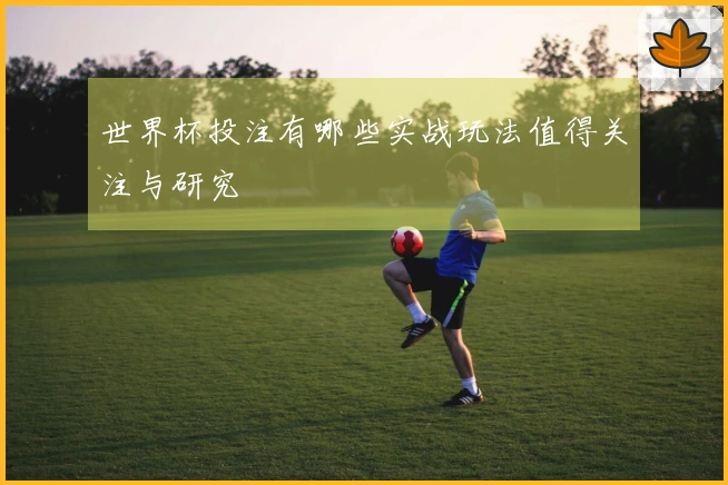 世界杯投注有哪些实战玩法值得关注与研究