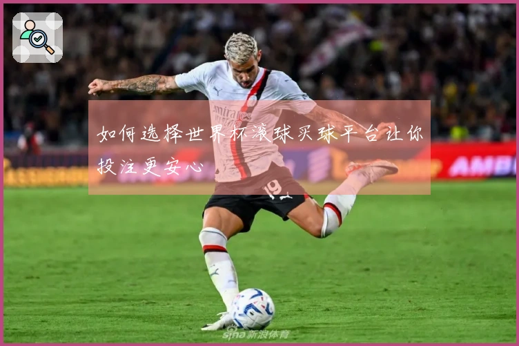 如何选择世界杯滚球买球平台让你投注更安心