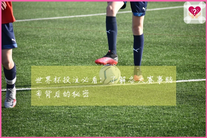 世界杯投注必看：了解各大赛事赔率背后的秘密