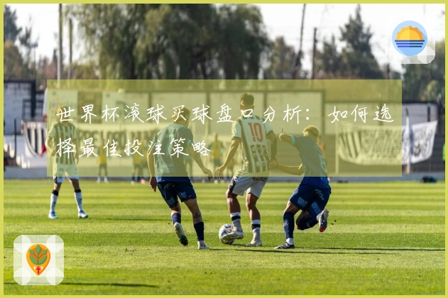 世界杯滚球买球盘口分析：如何选择最佳投注策略