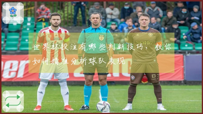 世界杯投注有哪些判断技巧，教你如何精准分析球队表现