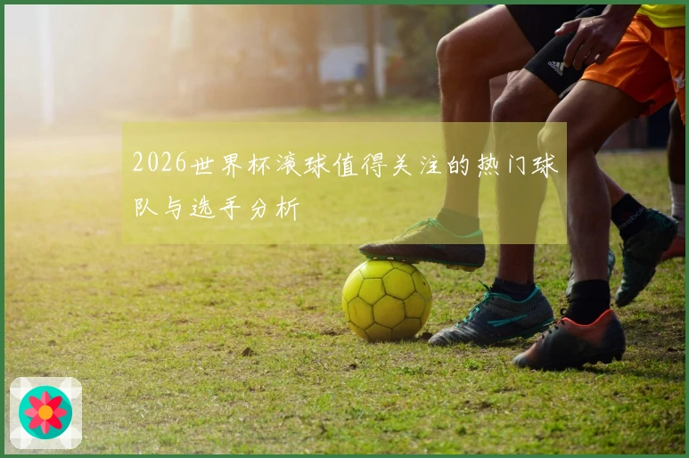 2026世界杯滚球值得关注的热门球队与选手分析