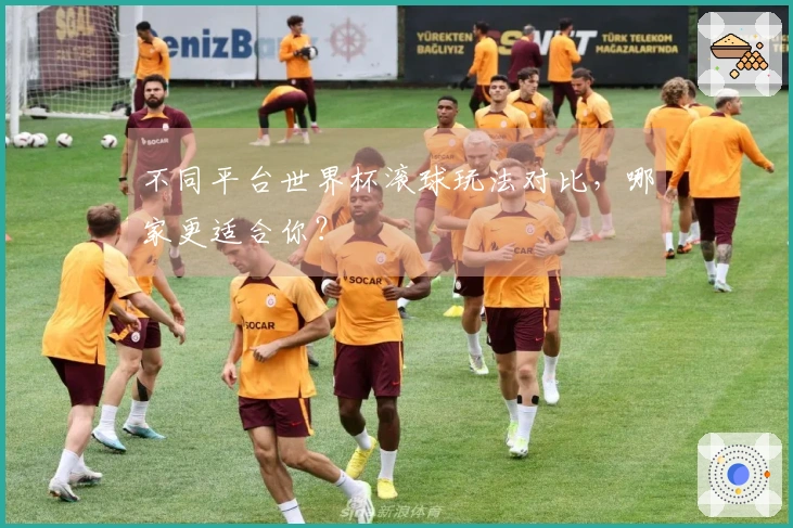 不同平台世界杯滚球玩法对比，哪家更适合你？