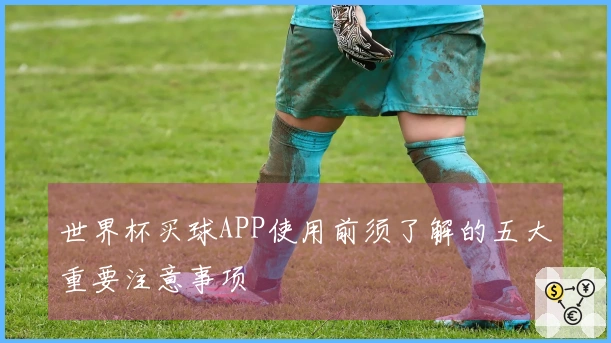 世界杯买球APP使用前须了解的五大重要注意事项