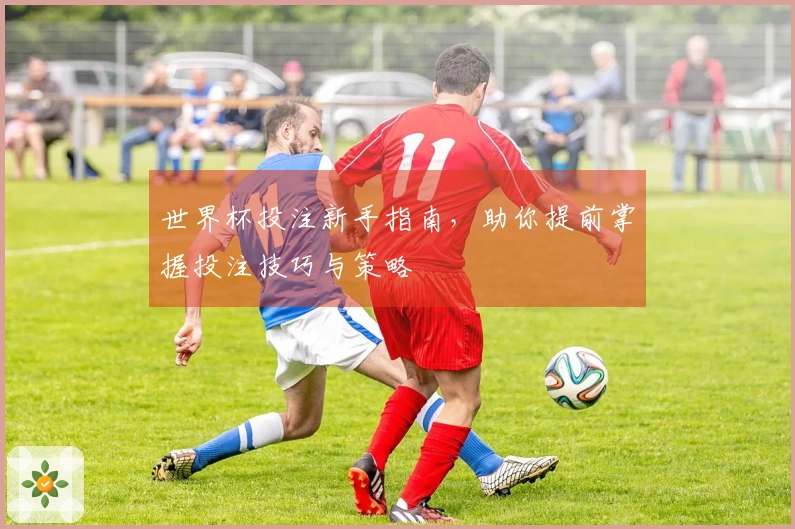 世界杯投注新手指南，助你提前掌握投注技巧与策略