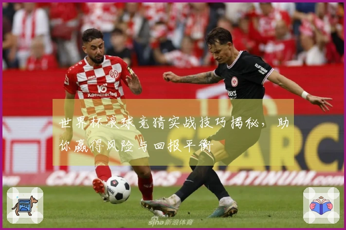 世界杯滚球竞猜实战技巧揭秘，助你赢得风险与回报平衡