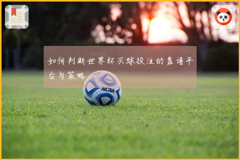如何判断世界杯买球投注的靠谱平台与策略