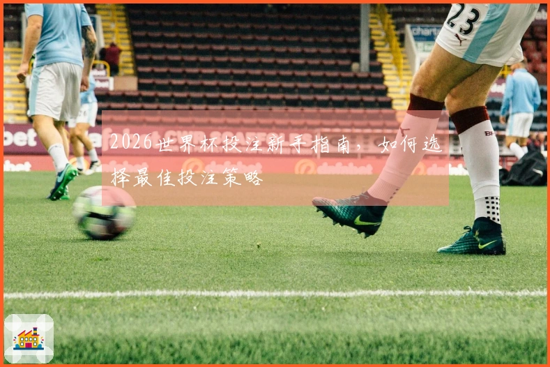 2026世界杯投注新手指南，如何选择最佳投注策略